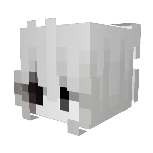 Errorberry_ Minecraft avatar head, 3D render