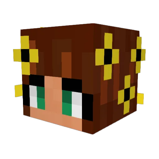 Errorcode0066 Minecraft avatar head, 3D render