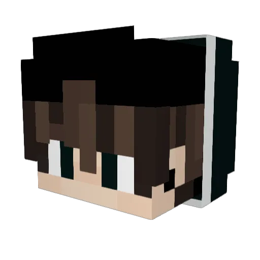 ErrorowyYT Minecraft avatar head, 3D render