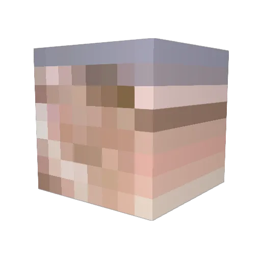 Errorpanda1234 Minecraft avatar head, 3D render