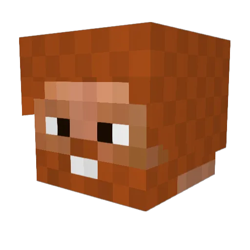 Errorx7 Minecraft avatar head, 3D render