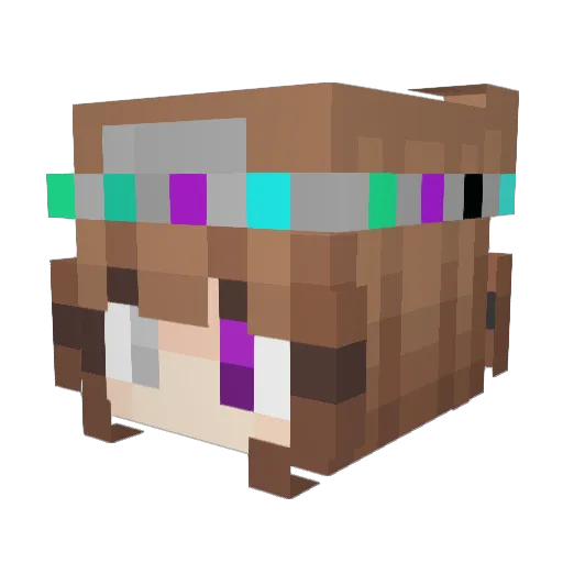 ErrrorPersson Minecraft avatar head, 3D render