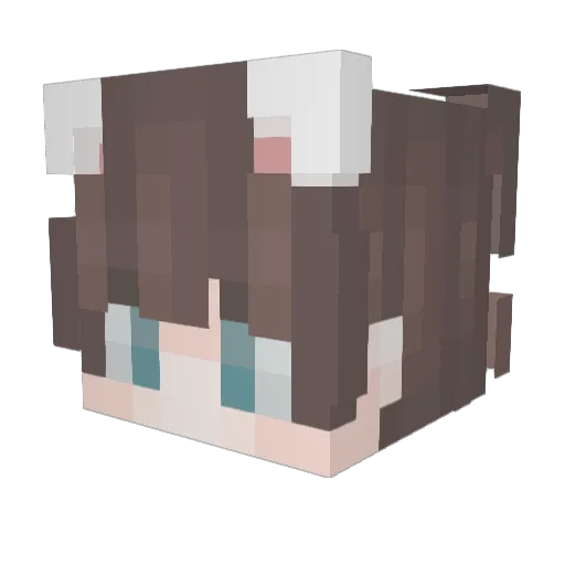 ErryBerry7 Minecraft avatar head, 3D render
