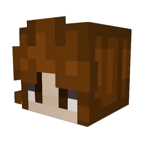 ErryMoon Minecraft avatar head, 3D render