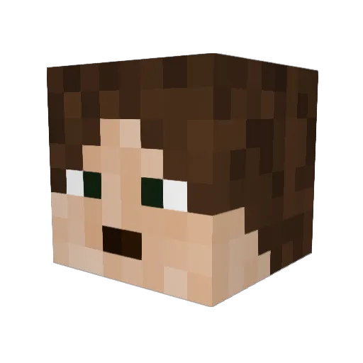 Erry_ Minecraft avatar head, 3D render