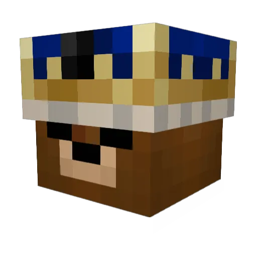 ErstmalDieBasics Minecraft avatar head, 3D render