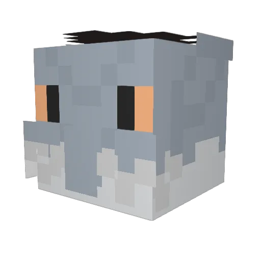 Ert_coolste Minecraft avatar head, 3D render