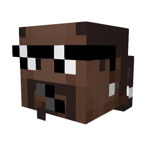 Erter2012 Minecraft avatar head, 3D render