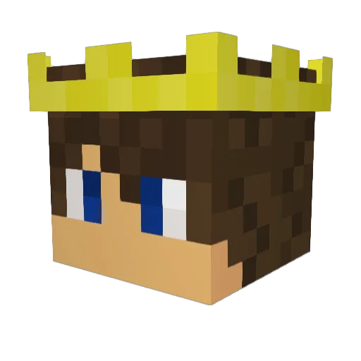 Ertinacx Minecraft avatar head, 3D render