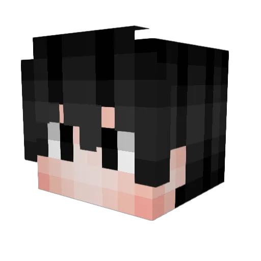 ErtoHodja Minecraft avatar head, 3D render