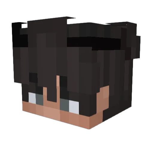 Erupt_jairo Minecraft avatar head, 3D render
