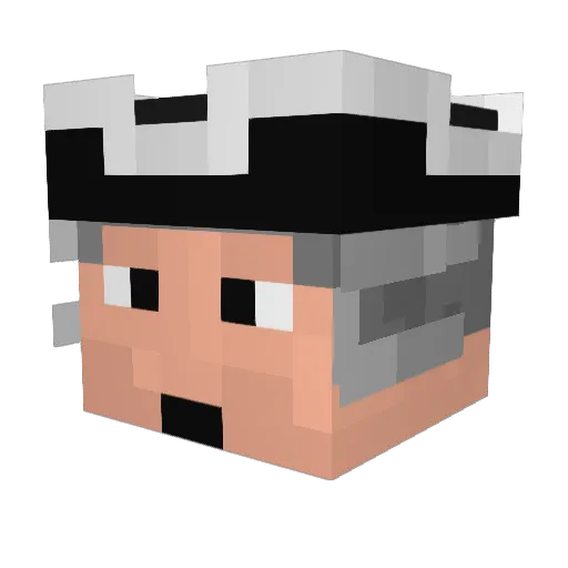Eruss6367 Minecraft avatar head, 3D render