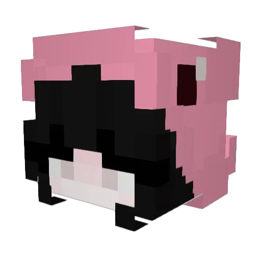 Erutix Minecraft avatar head, 3D render