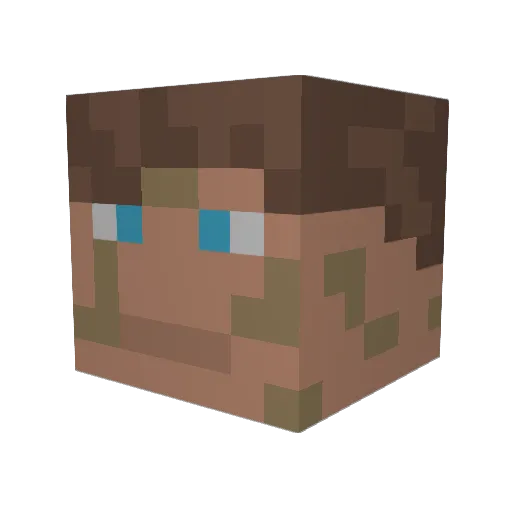 Erwin007 Minecraft avatar head, 3D render