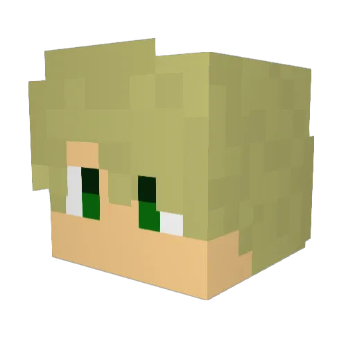 Erwin2006 Minecraft avatar head, 3D render