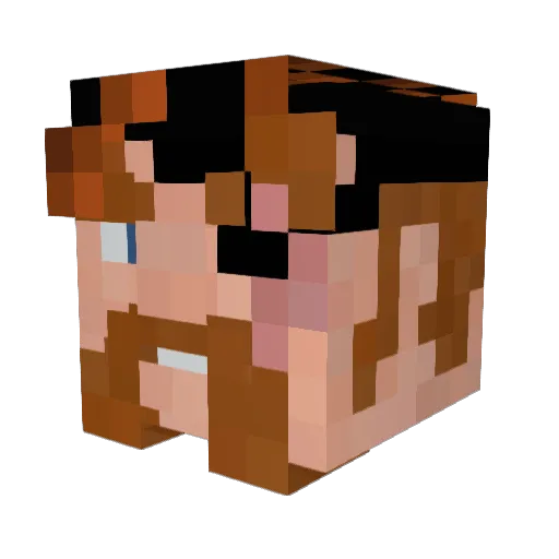 Erwin496 Minecraft avatar head, 3D render