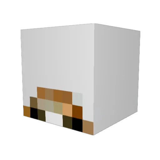 ErwinSmith_ Minecraft avatar head, 3D render