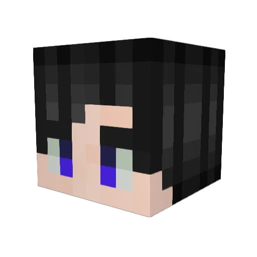 Erwin_Tesla Minecraft avatar head, 3D render