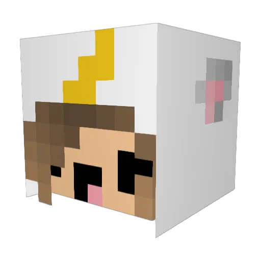 Erxkax0 Minecraft avatar head, 3D render