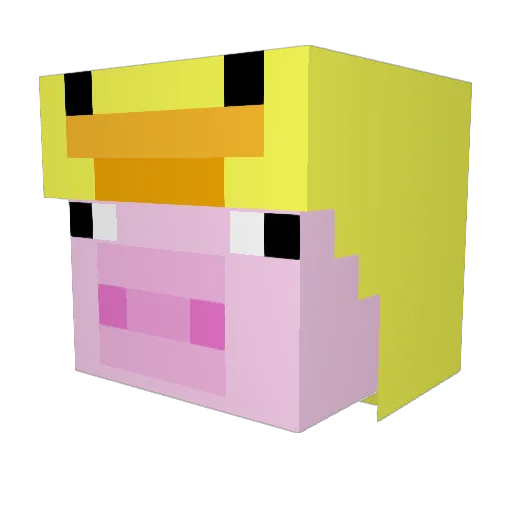 Erycou Minecraft avatar head, 3D render