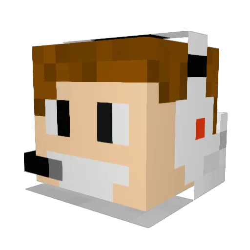 Eryk354 Minecraft avatar head, 3D render