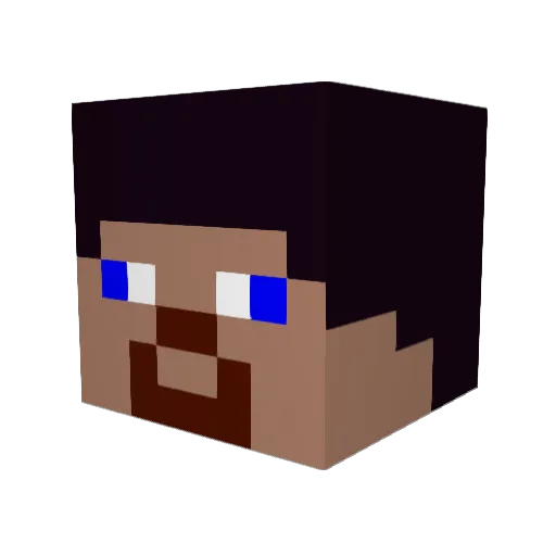 Erykoski226 Minecraft avatar head, 3D render