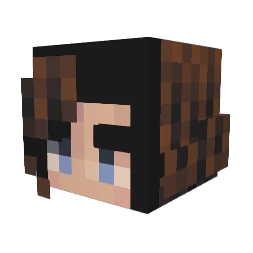 ErynJayy Minecraft avatar head, 3D render