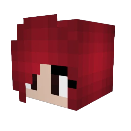 ErzaTacos Minecraft avatar head, 3D render