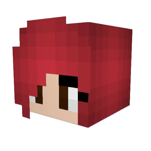 Erza_Scarlet1587 Minecraft avatar head, 3D render