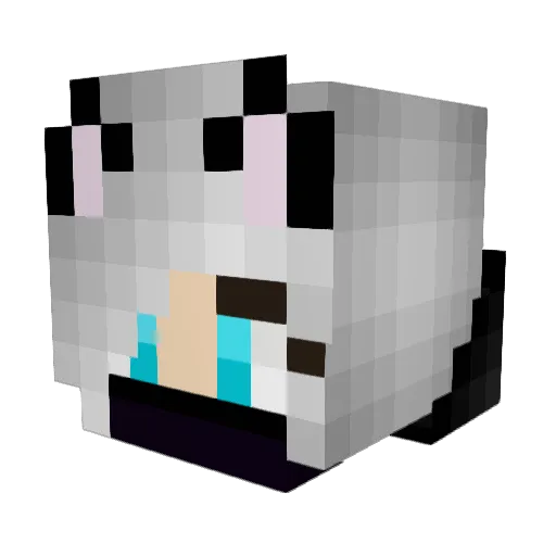 Erzan_15 Minecraft avatar head, 3D render