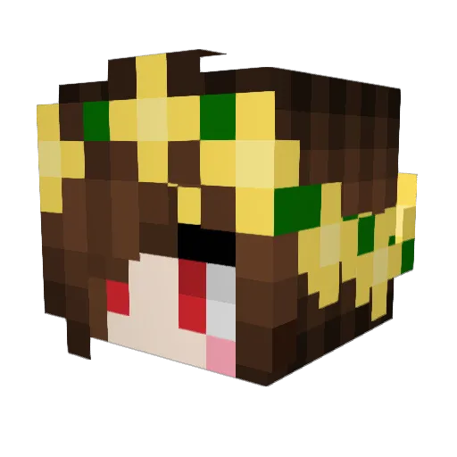 Erzarius Minecraft avatar head, 3D render