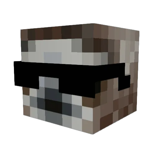 EsIstFlorian Minecraft avatar head, 3D render