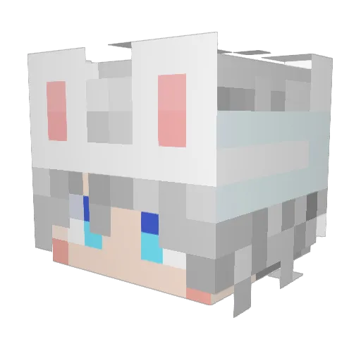 EsRos1 Minecraft avatar head, 3D render