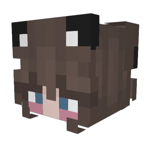 Es_13 Minecraft avatar head, 3D render