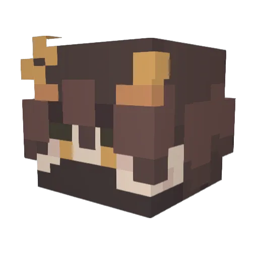 Esalt_ Minecraft avatar head, 3D render