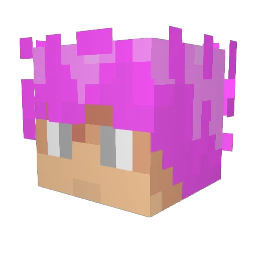Escafa Minecraft avatar head, 3D render