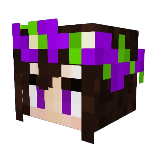 Esconjoncia Minecraft avatar head, 3D render