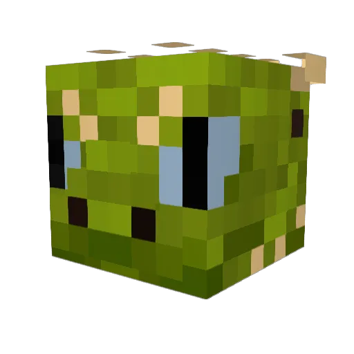 Escooby99 Minecraft avatar head, 3D render