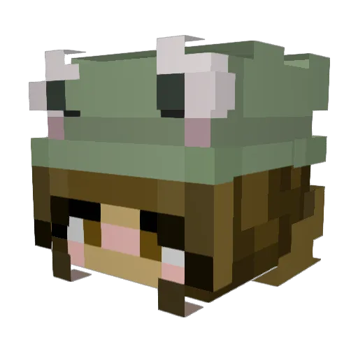 EseAvery Minecraft avatar head, 3D render