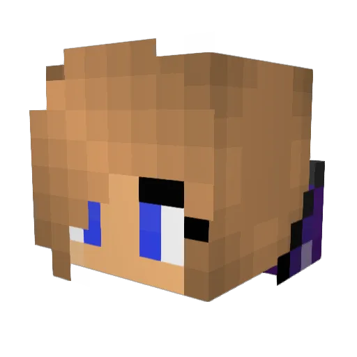 Esh424 Minecraft avatar head, 3D render