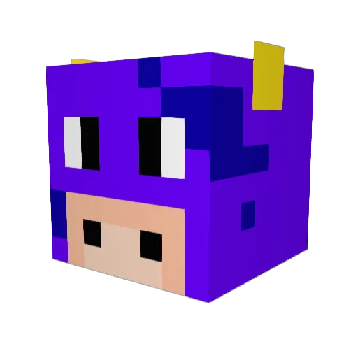 Eshankles Minecraft avatar head, 3D render