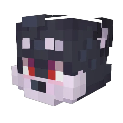 Esix21 Minecraft avatar head, 3D render