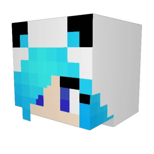Eskii_Princess Minecraft avatar head, 3D render