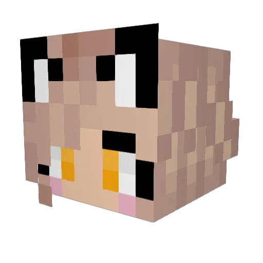 Eskildragon Minecraft avatar head, 3D render