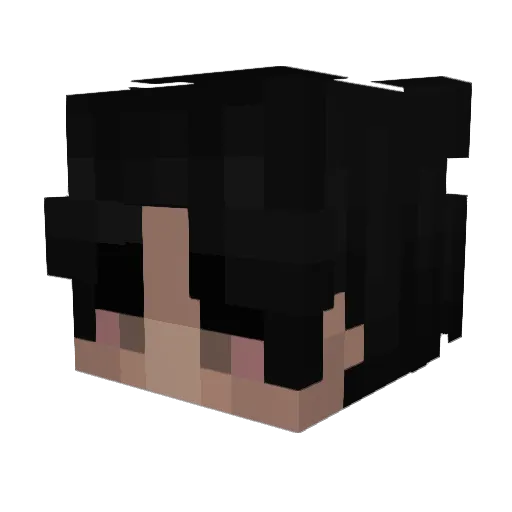 Eskillt Minecraft avatar head, 3D render