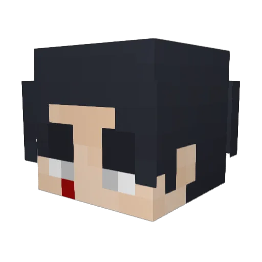 EskimoNash0612 Minecraft avatar head, 3D render
