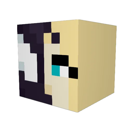 EsmeeZ13 Minecraft avatar head, 3D render