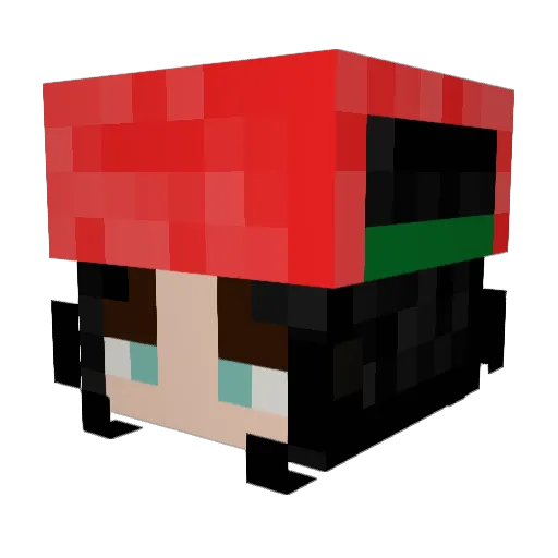 EsmeeisVET Minecraft avatar head, 3D render