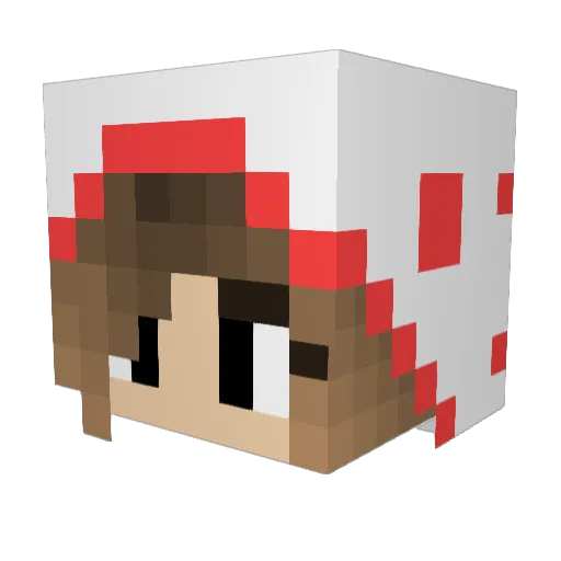 Esmeetj Minecraft avatar head, 3D render