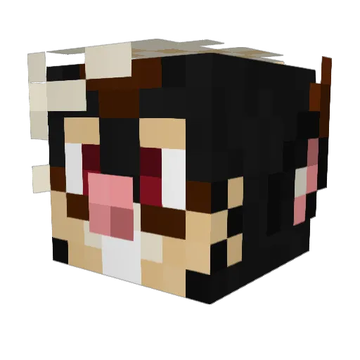 EsoteR1c_ Minecraft avatar head, 3D render